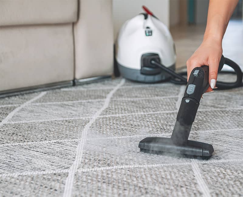 What to Consider Before Picking Up the Best Multi-Purpose Steam Cleaner?
