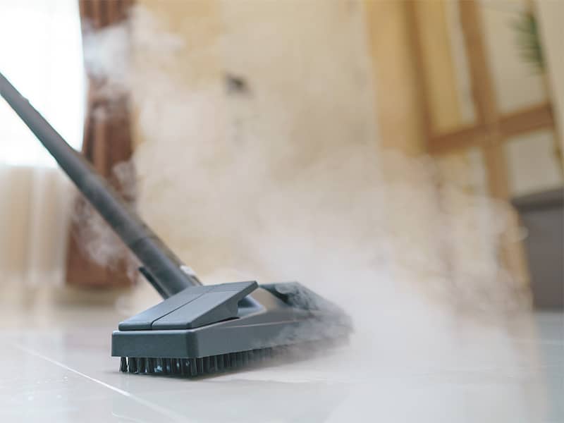 Top Steam Cleaner For Tile Floors Reviews