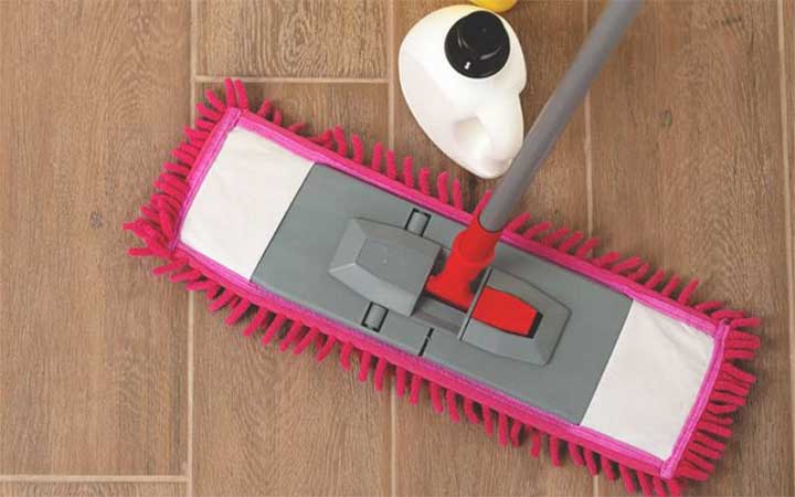 Laminate Floor Cleaner Dry Mop