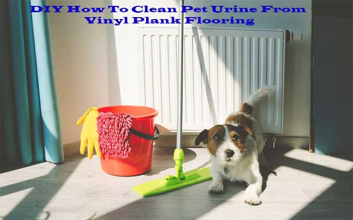 DIY How To Clean Pet Urine From Vinyl Plank Flooring
